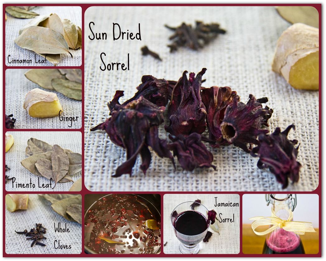 Jamaican Sorrel Collage