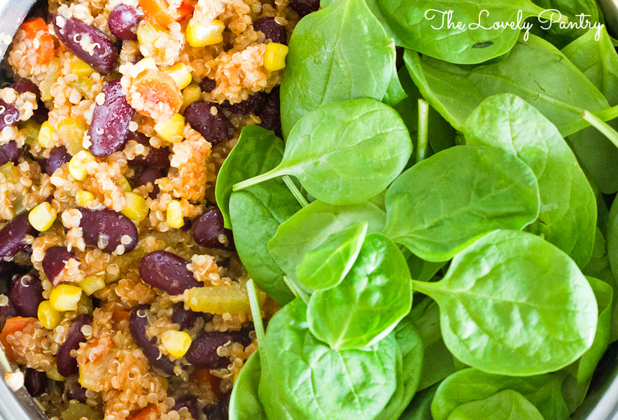 Quinoa and Bean Pilaf_3